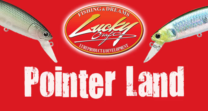 Master the Art of Angling